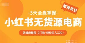 2023【阿本小红书无货源电商训练营】保姆级教程,从0到1,3天全盘掌握,轻松日入300+-老胡轻创社