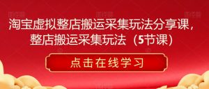 淘宝虚拟整店搬运采集玩法分享课,整店搬运采集玩法(5节课)-老胡轻创社