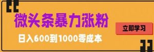 微头条暴力涨粉技巧搬运文案就能涨几万粉丝,简单0成本,日赚600【揭秘】-老胡轻创社