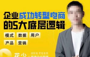 企业成功转型电商的5大底层逻辑,从模式、数据、用户、产品、营销5大板块,助你高效转型电商赛道-老胡轻创社