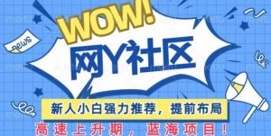 有道词典WOW社区项目,新人小白强力推荐,提前布局,高速上升期,蓝海项目【揭秘】-老胡轻创社