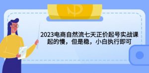 2023电商自然流七天正价起号实战课:起的慢,但是稳,小白执行即可!-老胡轻创社
