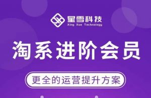 星雪·淘系进阶课程，快速提升突破技能流量瓶颈必备（更新2023年5月）-老胡轻创社