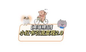 小红书最新引流变现教程,全网最新最详细的视频教程以及素材-老胡轻创社