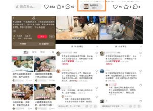 小红书蓝海类赛道:小动物打赏与购买变现副业项目,一条龙玩法分享给你!-老胡轻创社