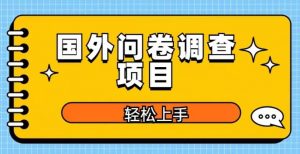 国外问卷调查项目,日入300+,在家赚美金【揭秘】-老胡轻创社