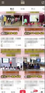 幼儿园公开课项目，虚拟资源变现，一单19.9，单日变现300-老胡轻创社