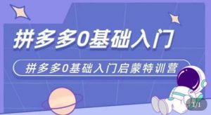 拼多多运营0-1实操特训营,拼多多0基础入门,从基础到进阶的可实操玩法-老胡轻创社