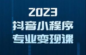 2023年抖音小程序变现保姆级教程,0粉丝新号,无需实名,3天起号,第1条视频就有收入-老胡轻创社