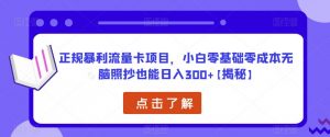 正规暴利流量卡项目,小白零基础零成本无脑照抄也能日入300+【揭秘】-老胡轻创社