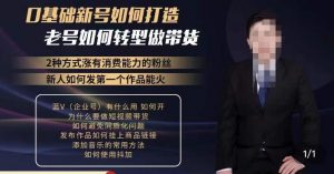 小瑞瑞·如何打造一个有流量的带货账号，好物分享实操课程，内容详细易懂-老胡轻创社
